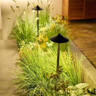 蘑灯菇led插地式草户草坪灯外小院院装饰植物地插防水景观庭灯花