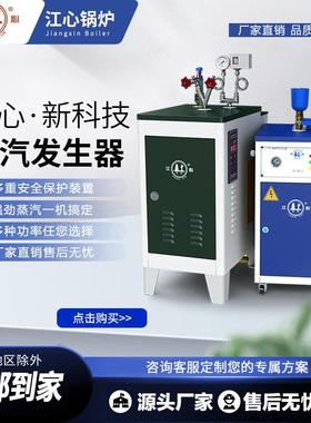 生江心锅炉全自LDR-0.00动电加热蒸汽发熨器服装护烫水泥桥梁养蒸