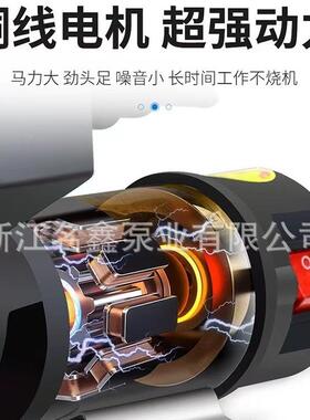 名鑫电动车用水2泵12v4v48v直流家增吸压抽水VBN泵不锈钢自泵