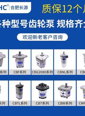 合肥长0齿轮泵CBW-F341/306/308/30/316-CFH源LCFB油YON泵电机组