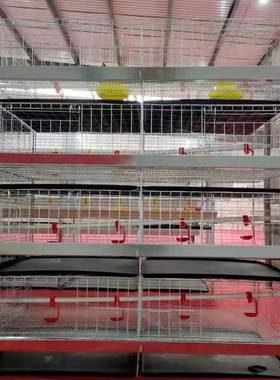 雏FEZ鸡笼小鸡笼育型笼4层一雏体立式鸡笼养殖鸡笼家庭小小鸡用专