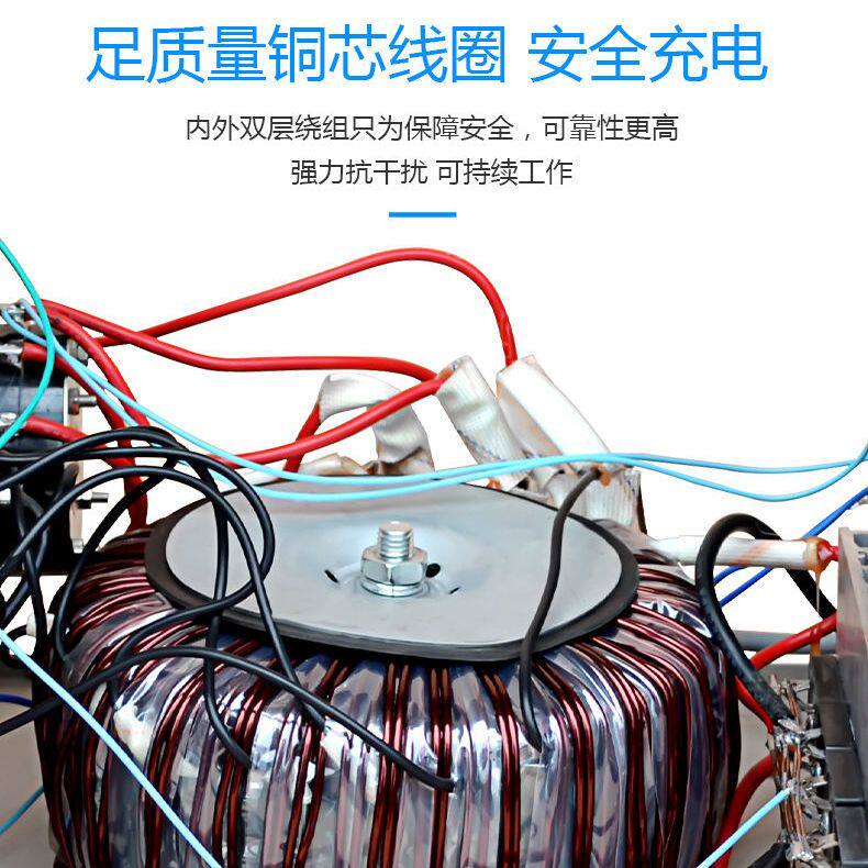乐牌充电机12V24V36V48V汽车电瓶摩托轮船蓄电池纯铜大功率充电器