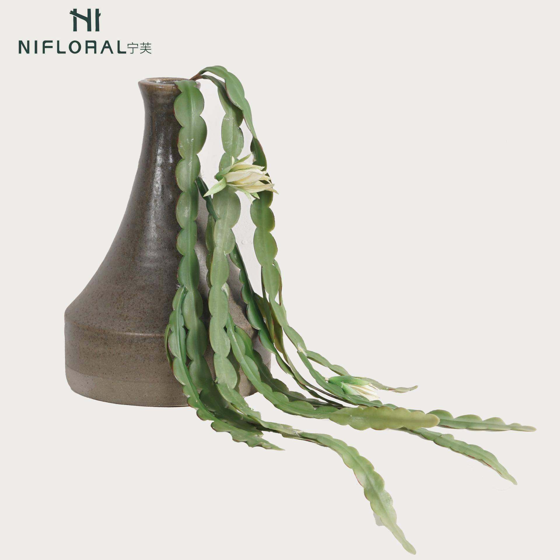 仿真N37220-Y骨令箭昙花仙人掌多肉齿垂吊植蔓锯藤波浪草家居鱼摆,鲜花速递/花卉仿真/绿植园艺,仿真绿植,淘宝优惠券,粉丝福利购,淘宝优惠卷