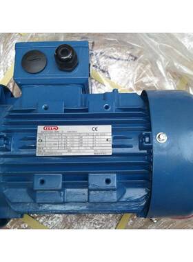 供应意大利FELM电机Y2/FA2/FA3/HJN系列铝壳铸铁替代德国AC电动机