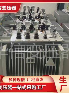 SGZP2油0系列V浸式变压器0100KA三相配电变压器NX2二级能效