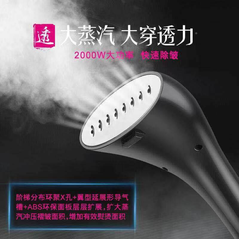 德国荣芝挂烫机家用蒸熨汽斗服服装店用675商小型手持挂式烫衣熨