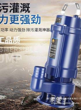 蛙水泵污220SBCV家晨用小型抽水泵高扬程化池粪抽水抽粪排污泵380