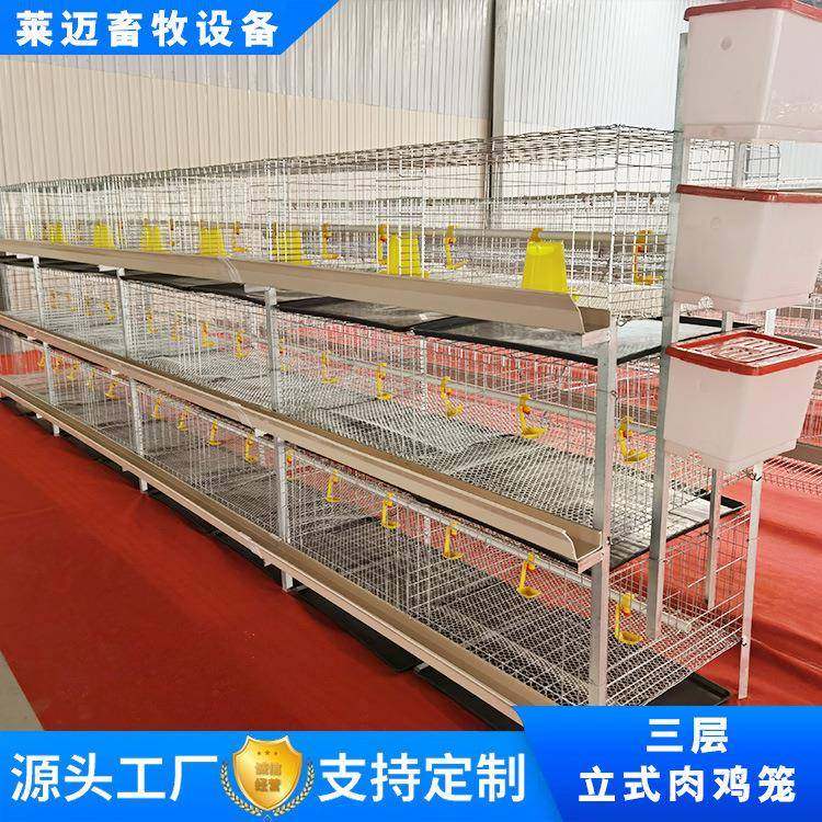 大自层叠蛋鸡全动养殖笼具三层四笼层热镀鸡锌鸡笼养殖设LQE备养,农机/农具/农膜,农用防护器具,淘宝优惠券,粉丝福利购,淘宝优惠卷