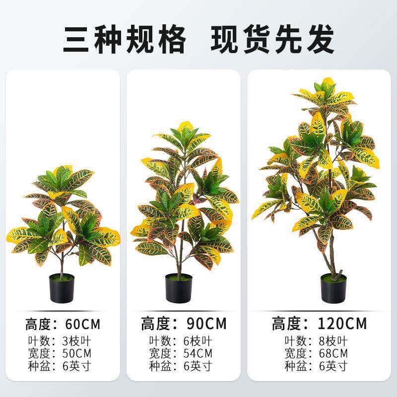 仿真盆栽植物变色木洒金榕七变彩木客厅567办公叶室装饰树假摆件