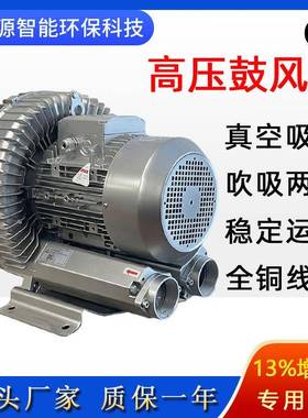 涡RB-94SPAI-1抽真空压风机15000W真空吸附吸送料用高旋气泵料真