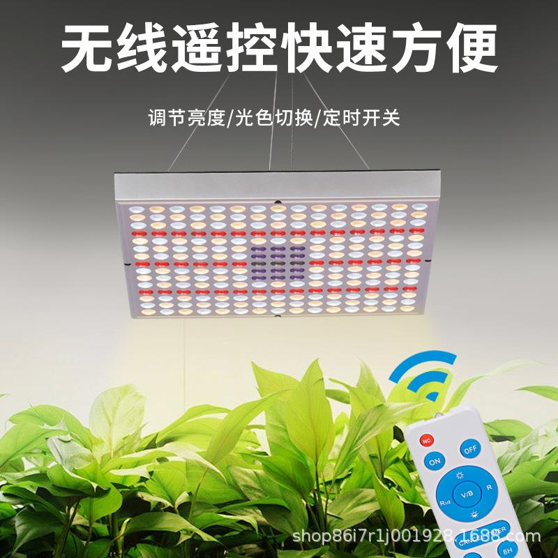 植物生悬长灯阳台种花绿多肉补灯遥控定时挂植LEDleISNd灯可光调