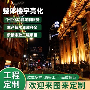 亮化效果图 夜景灯光设计 楼宇亮化 街道节日灯光亮化 夜景动画