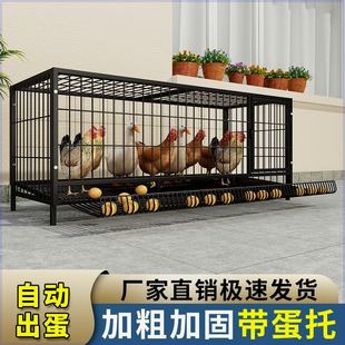 鸡下蛋的笼子家用加粗大号养殖笼折叠鸭笼鹅笼狗笼自动滚蛋鸡笼