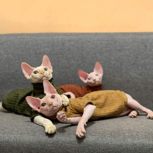 无毛猫衣服秋冬保暖高领毛衣打底弹力柔软斯芬克斯德文阿比猫衣服