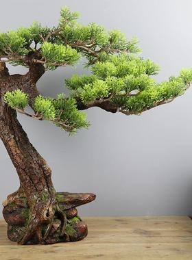 仿景观迎XM200301真客松创园艺花卉盆景布景植假树摆件微景观意造