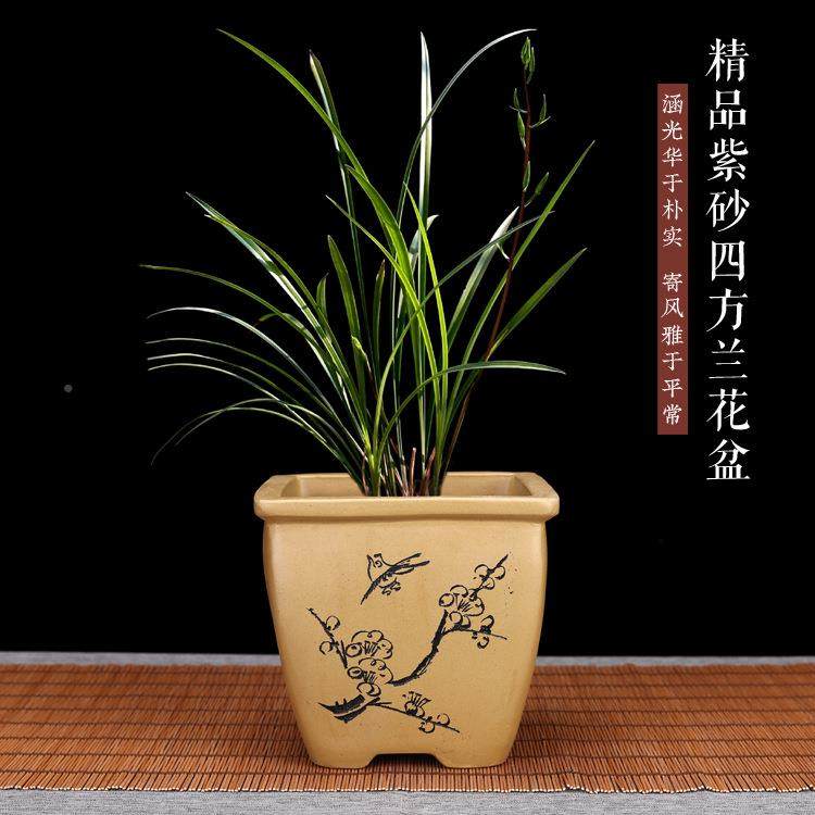 精品紫砂盆小号兰花肉盆景园花艺客厅多摆陶件创意瓷文竹XDQ盆栽,家居饰品,花盆,淘宝优惠券,粉丝福利购,淘宝优惠卷