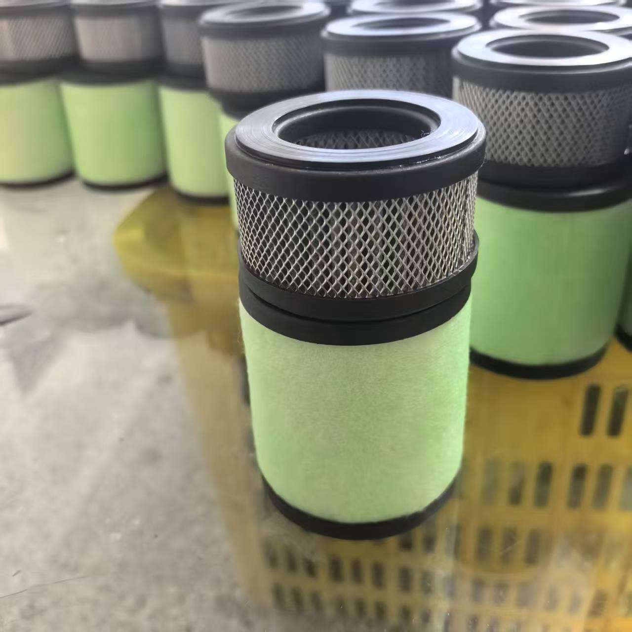 爱德华EMF10-真空泵油雾分离器滤芯A22304079/A22304198