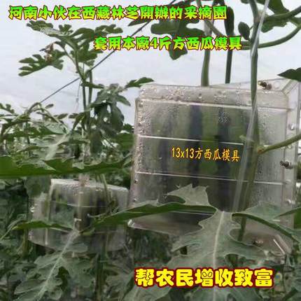 1VCA3×13长方型西瓜形模具4斤方瓜生定形葫透明范制芦定型模具农