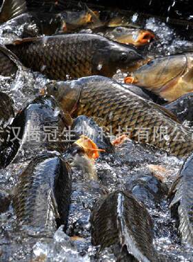 鱼安定MS222殖清塘剂鱼类长途运012水输产养鱼用