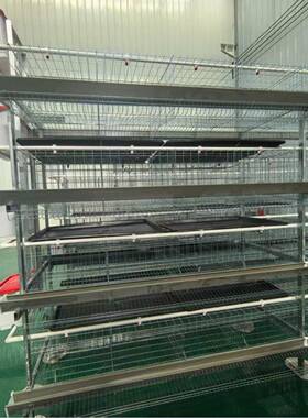 厂销售家鸡舍式粪盘蛋鸡笼多层立体HVZ养殖笼蛋鸡接养殖鸡立笼