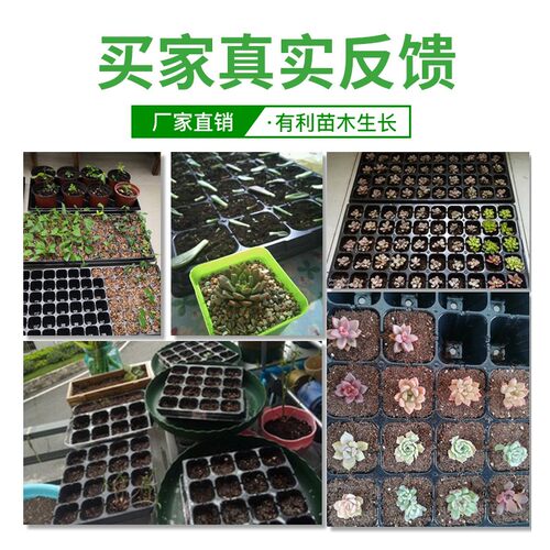 育苗盘穴盘育苗盒器苗木多肉育苗盆育苗箱芽菜盘加厚种植盘育苗杯