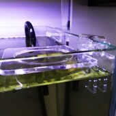 鱼缸水培支架托花草定植可调节定制亚克力透明无限沉默