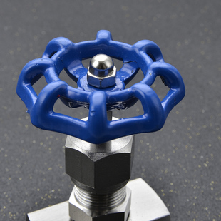 304不锈钢针型阀J13w-160P内螺纹内丝高压截止阀4分仪表阀4分6分