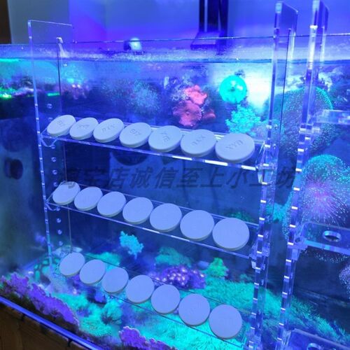 珊瑚断支架繁殖挂钩海缸硬骨软体挂缸壁亚克力繁殖断枝架珊瑚平台