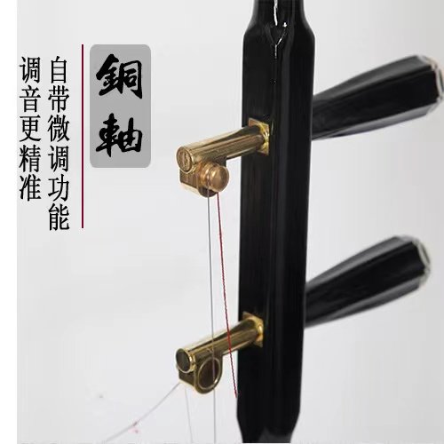 铜轴二胡全套民族乐器老人高档色木送音标贴胡琴微调成人专业演奏