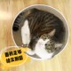 得酷碗形圆形圆盘猫抓板瓦楞纸猫窝猫盒子大号玩具猫磨爪沙发 包邮