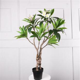仿真鸡蛋花店树家居客厅办公室店铺大型落地绿植盆景装饰摆件室内