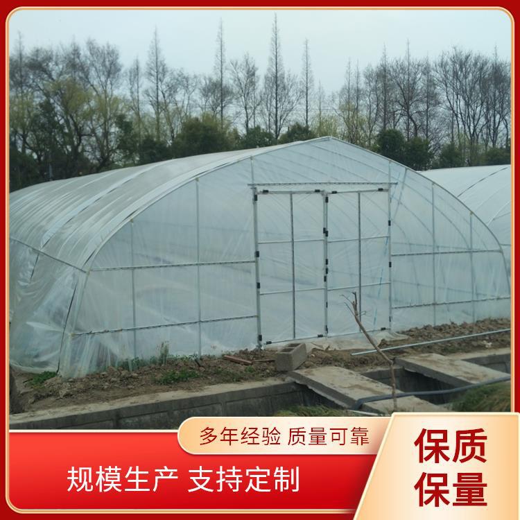 联合六型单体塑料大棚 钢架大棚拱杆 温室大棚设计