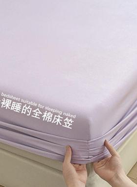 PHJA类纯全棉笠保100床罩单件床单防滑防尘包席梦思床垫床套护罩