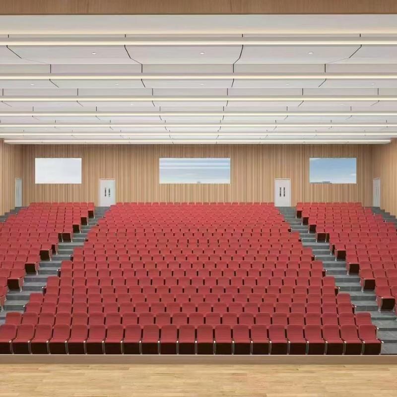 礼会堂DXBG2501椅排椅电学院椅子阶梯议多媒体校教室报告厅座椅影