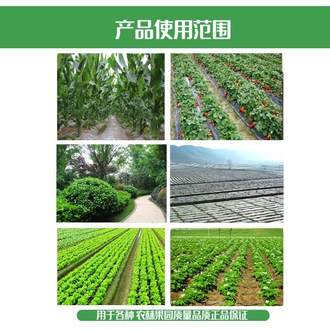 滴管农用滴片灌带内滴灌滴带16mm贴式葡镶农用草莓滴水滴SLH灌萄