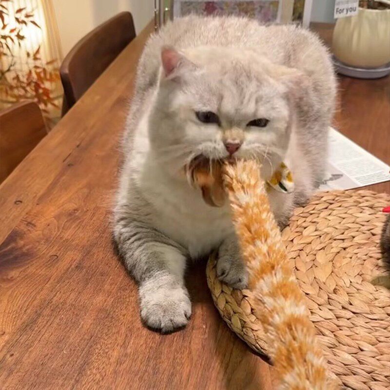 猫玩具鸡毛撢子逗猫棒自嗨解闷神器羽毛麻绳耐咬磨牙手柄幼猫用品