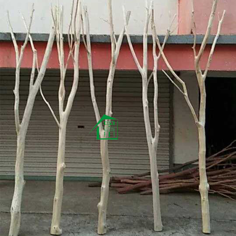 干树枝枯枝白树枝隔断装饰摆件干枝造景北欧风客厅创意屏风橱窗