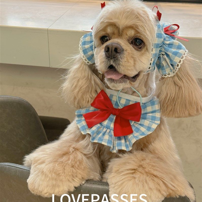 新品大耳朵狗狗美卡宠物耳套耳花口水巾外出吃饭防脏可爱纯棉卡通,宠物/宠物食品及用品,发饰/头饰,淘宝优惠券,粉丝福利购,淘宝优惠卷