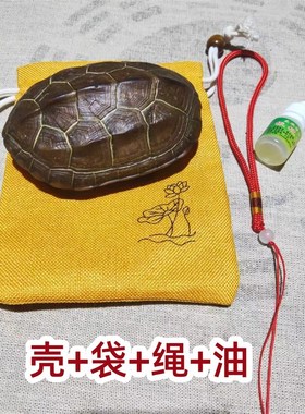 真乌龟壳精品天然完整六爻龟甲文玩摆件清乾隆通宝真品后天八卦图