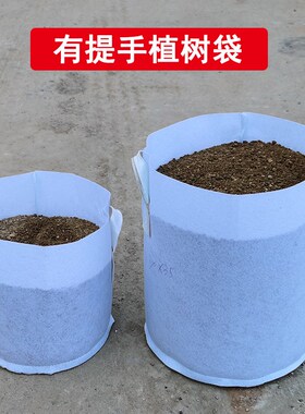 无纺布植树袋种植袋降解营养钵美植袋加厚育苗袋种树专用白色花盆