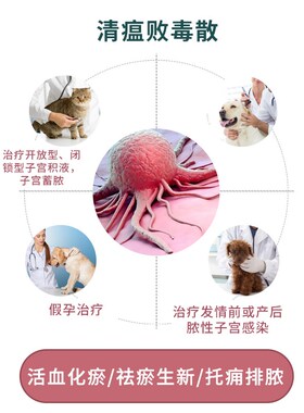 宫脓清宠物大梆猫用仓鼠狗狗猫咪狗用分装犬猫通用宫脓净宫脓康