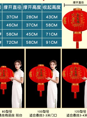 2024新款过年大红灯笼春节大门庭院一对阳台植绒户外装饰挂饰宫灯