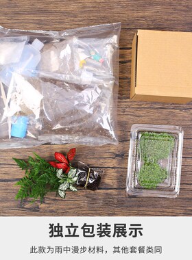 20c苔藓diy微景观生态瓶绿植物种植材料包切组合套装暖场活动大号