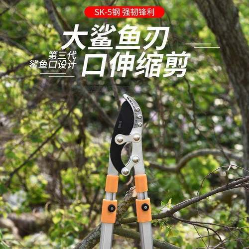 树枝枝剪刀粗伸修缩园艺RKP剪刀多功能园林剪高刀果树园林粗枝剪