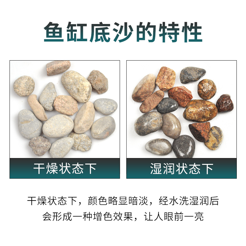 鱼缸专用底砂造景沙石头沙子底沙溪流石雨林沙天然细沙雷龙鱼装饰
