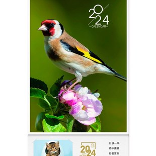 2025蛇年花鸟虫鱼野生动物挂历新款 家用挂墙翻页月历年历日历小鸟