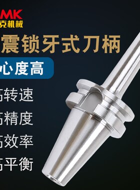 数控螺纹锁牙头刀柄BT30/40-M8/10/12/16可换式抗震加硬锁牙刀柄