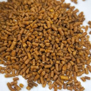 八哥鹩哥乌鸫鸟百舌鸟喜鹊山鸦鸟鸟粮饲料