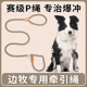 边境牧羊犬专用狗狗绳子防爆冲P链遛狗牵引绳防挣脱狗链子中大型