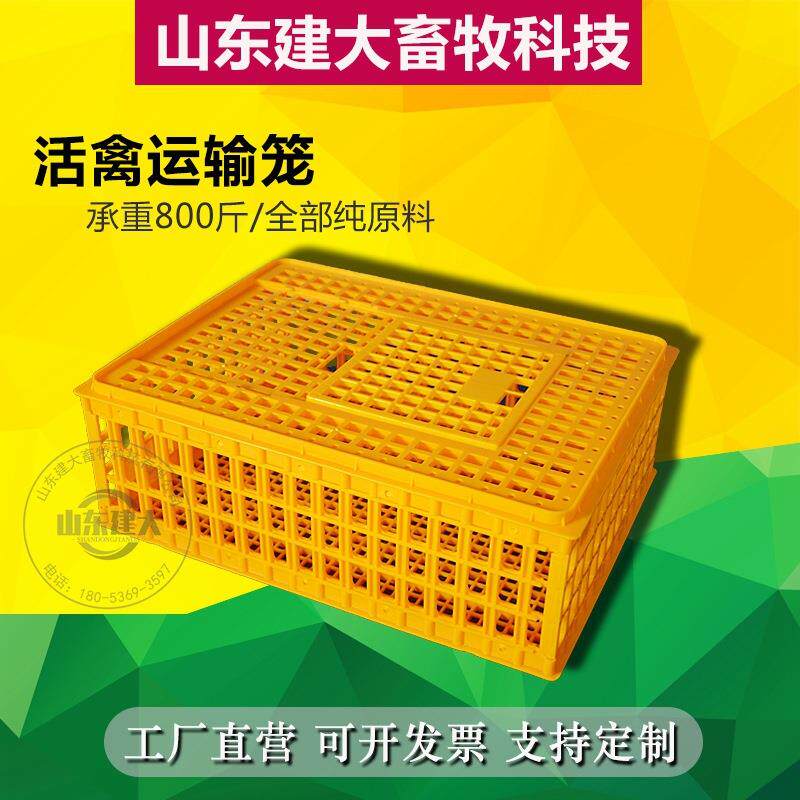 长方形活禽运输笼塑料家禽周转筐耐摔抗压运输用鸡鸭鹅运输筐推